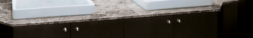 Dyson case study Cedar Executive solution